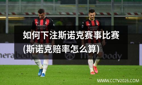 如何下注斯诺克赛事比赛(斯诺克赔率怎么算)