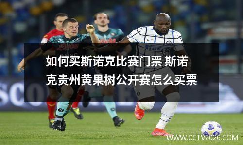 如何买斯诺克比赛门票 斯诺克贵州黄果树公开赛怎么买票