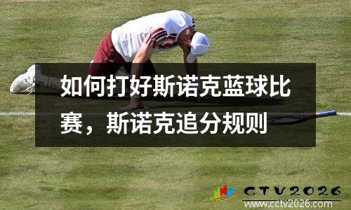 如何打好斯诺克蓝球比赛，斯诺克追分规则