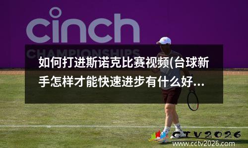 如何打进斯诺克比赛视频(台球新手怎样才能快速进步有什么好的视频或者理论可以分享的么)
