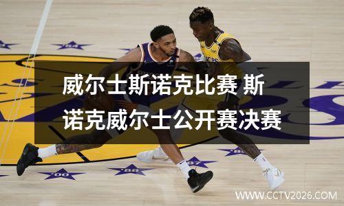 威尔士斯诺克比赛 斯诺克威尔士公开赛决赛