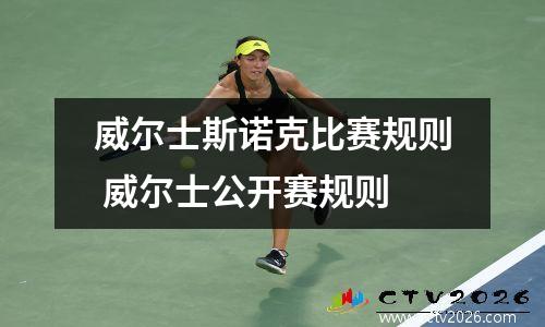 威尔士斯诺克比赛规则 威尔士公开赛规则