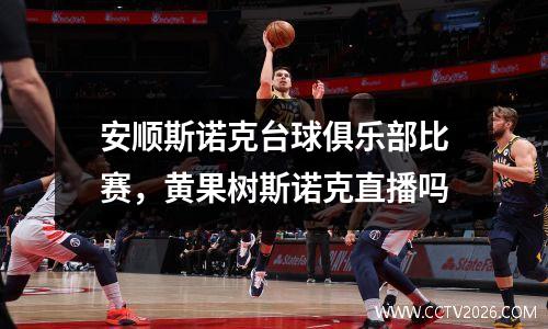 安顺斯诺克台球俱乐部比赛，黄果树斯诺克直播吗