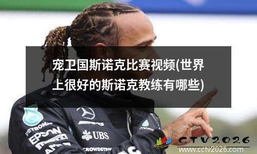 宠卫国斯诺克比赛视频(世界上很好的斯诺克教练有哪些)