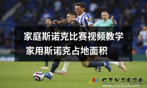 家庭斯诺克比赛视频教学 家用斯诺克占地面积