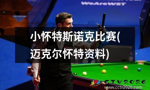 小怀特斯诺克比赛(迈克尔怀特资料)