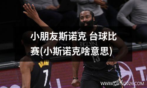 小朋友斯诺克 台球比赛(小斯诺克啥意思)
