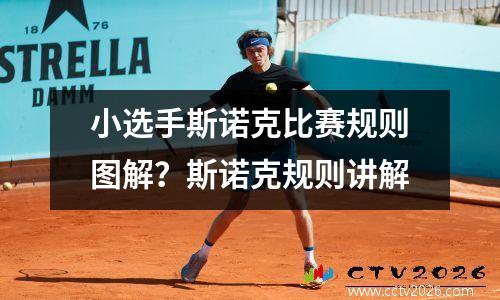 小选手斯诺克比赛规则图解？斯诺克规则讲解