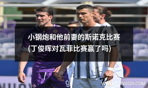 小钢炮和他前妻的斯诺克比赛(丁俊晖对瓦菲比赛赢了吗)