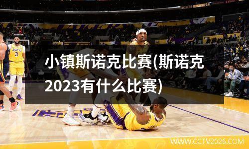 小镇斯诺克比赛(斯诺克2023有什么比赛)