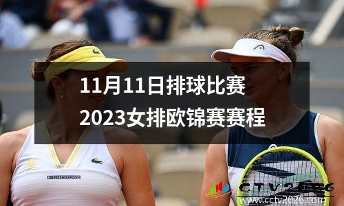 11月11日排球比赛 2023女排欧锦赛赛程