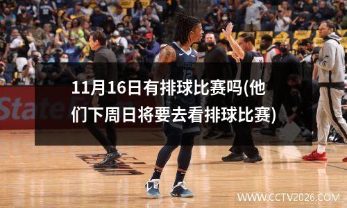 11月16日有排球比赛吗(他们下周日将要去看排球比赛)