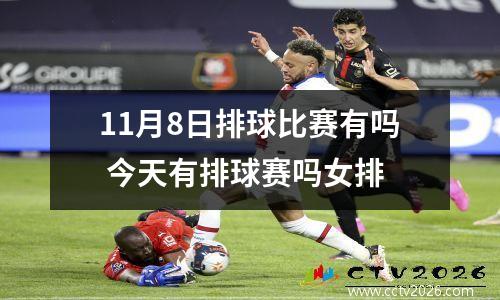11月8日排球比赛有吗 今天有排球赛吗女排