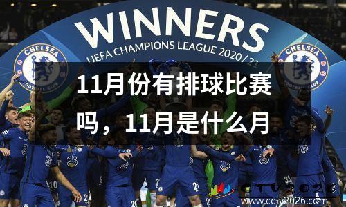 11月份有排球比赛吗，11月是什么月