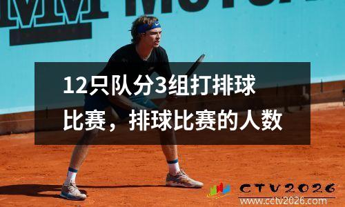 12只队分3组打排球比赛，排球比赛的人数