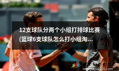 12支球队分两个小组打排球比赛(篮球6支球队怎么打小组淘汰赛)