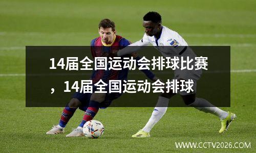 14届全国运动会排球比赛，14届全国运动会排球