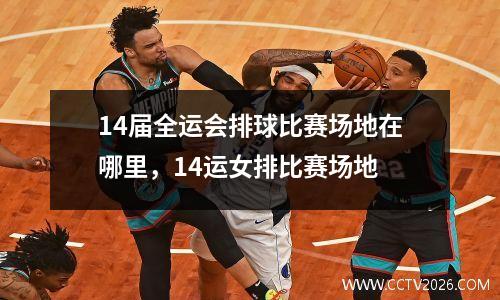 14届全运会排球比赛场地在哪里，14运女排比赛场地