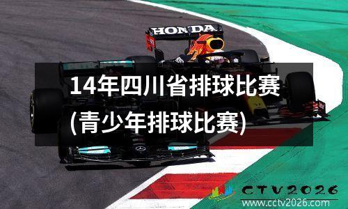 14年四川省排球比赛(青少年排球比赛)