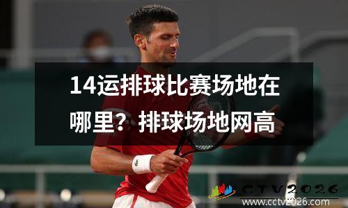 14运排球比赛场地在哪里？排球场地网高