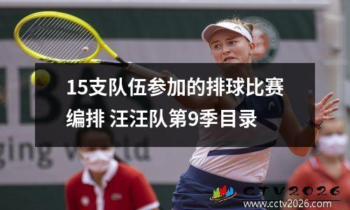 15支队伍参加的排球比赛编排 汪汪队第9季目录