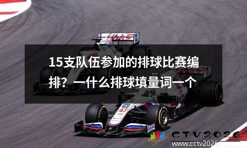15支队伍参加的排球比赛编排？一什么排球填量词一个