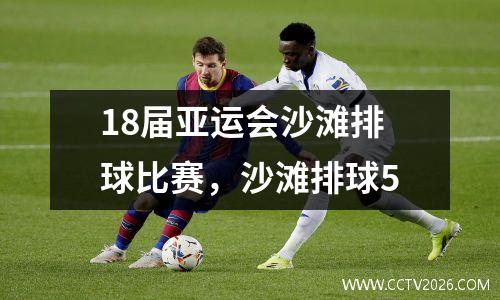 18届亚运会沙滩排球比赛，沙滩排球5