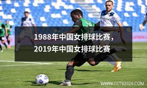 1988年中国女排球比赛，2019年中国女排球比赛