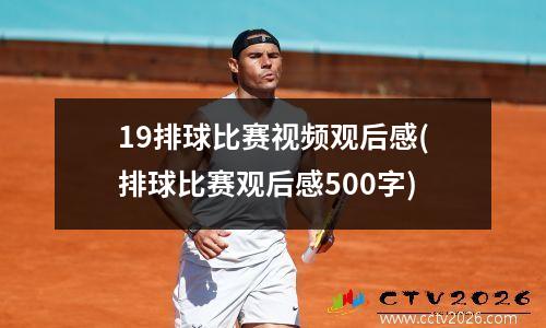 19排球比赛视频观后感(排球比赛观后感500字)