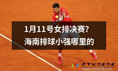 1月11号女排决赛？海南排球小强哪里的