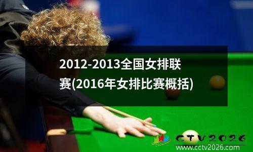 2012-2013全国女排联赛(2016年女排比赛概括)