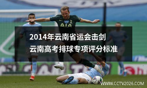 2014年云南省运会击剑 云南高考排球专项评分标准
