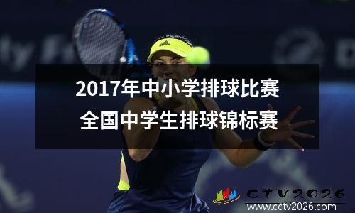 2017年中小学排球比赛 全国中学生排球锦标赛