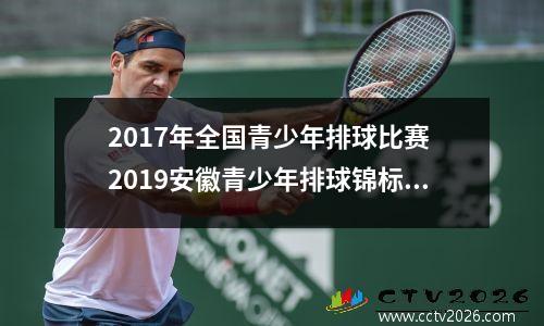 2017年全国青少年排球比赛 2019安徽青少年排球锦标赛