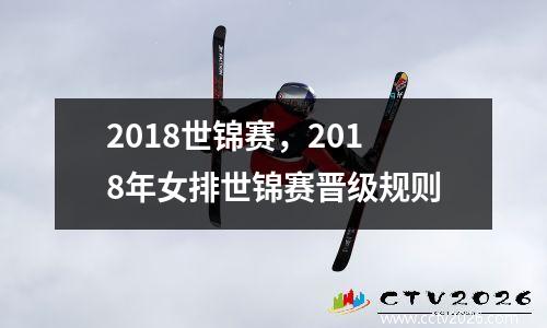 2018世锦赛，2018年女排世锦赛晋级规则