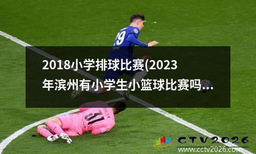 2018小学排球比赛(2023年滨州有小学生小篮球比赛吗)