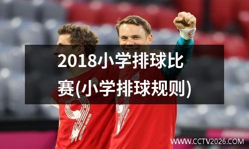 2018小学排球比赛(小学排球规则)