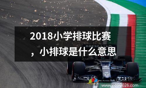 2018小学排球比赛，小排球是什么意思