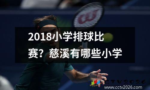 2018小学排球比赛？慈溪有哪些小学