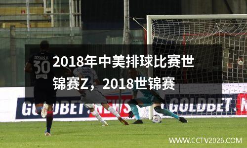 2018年中美排球比赛世锦赛Z，2018世锦赛