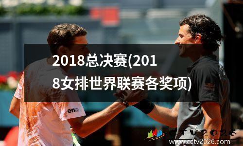 2018总决赛(2018女排世界联赛各奖项)