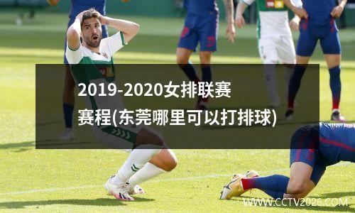 2019-2020女排联赛赛程(东莞哪里可以打排球)