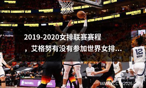 2019-2020女排联赛赛程，艾格努有没有参加世界女排联赛