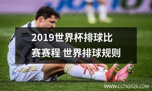 2019世界杯排球比赛赛程 世界排球规则