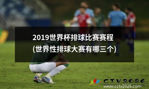 2019世界杯排球比赛赛程(世界性排球大赛有哪三个)