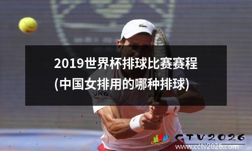 2019世界杯排球比赛赛程(中国女排用的哪种排球)