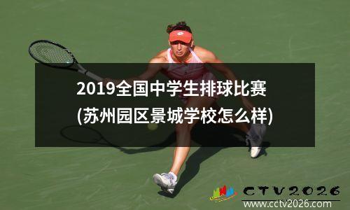 2019全国中学生排球比赛(苏州园区景城学校怎么样)