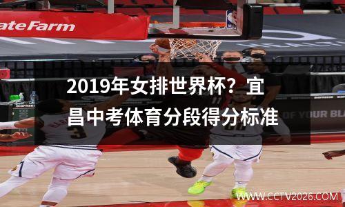 2019年女排世界杯？宜昌中考体育分段得分标准