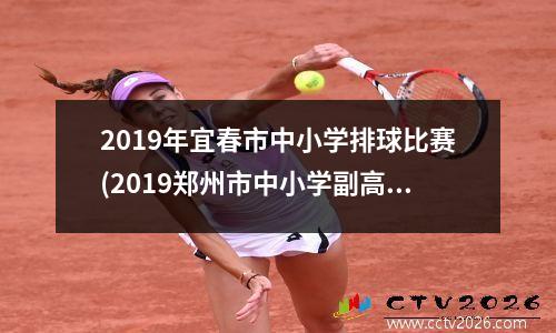 2019年宜春市中小学排球比赛(2019郑州市中小学副高级)