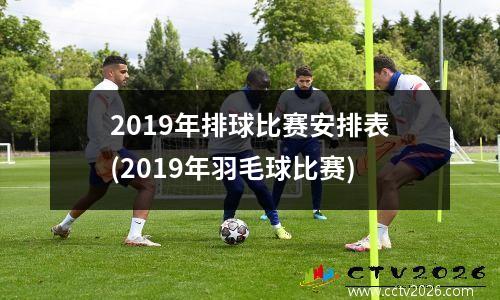 2019年排球比赛安排表(2019年羽毛球比赛)